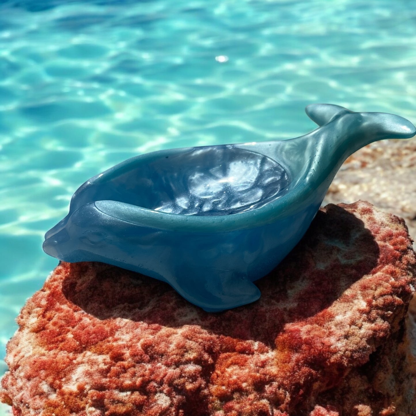 Dolphin shaped storage holder