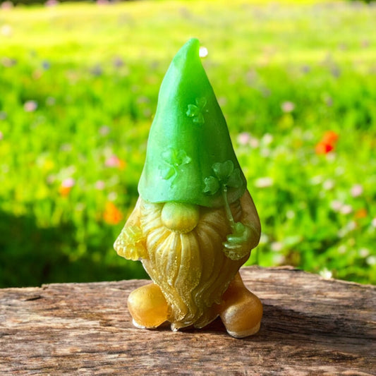 Gnome-10