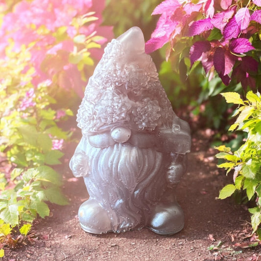 Gnome-23