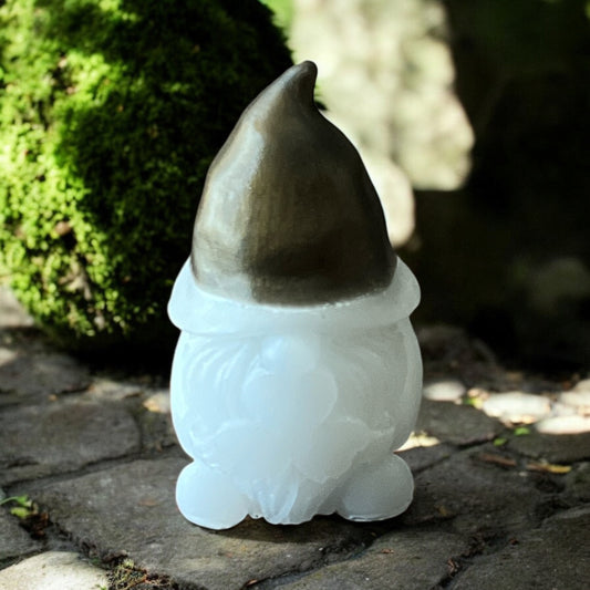 Gnome-20