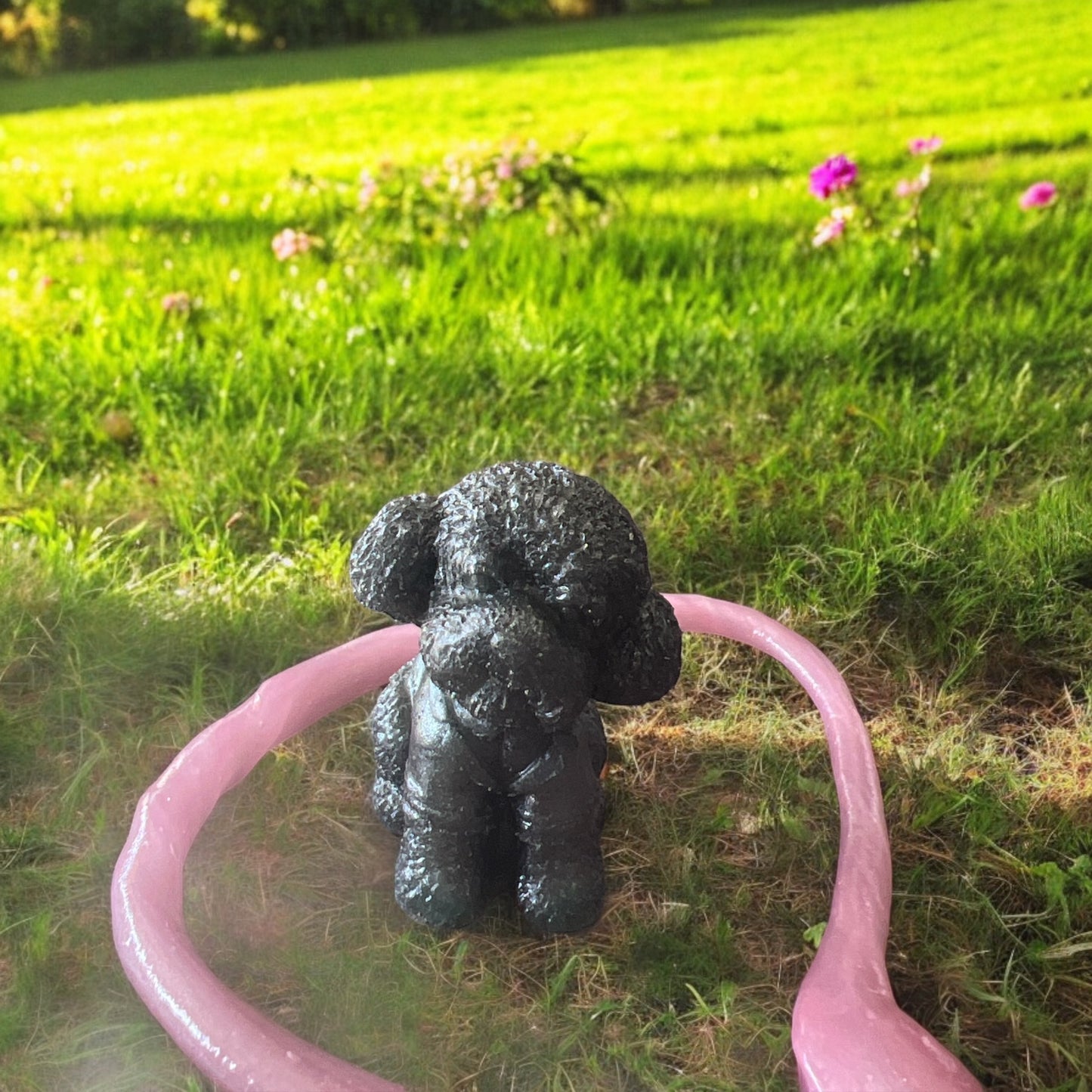 Black poodle